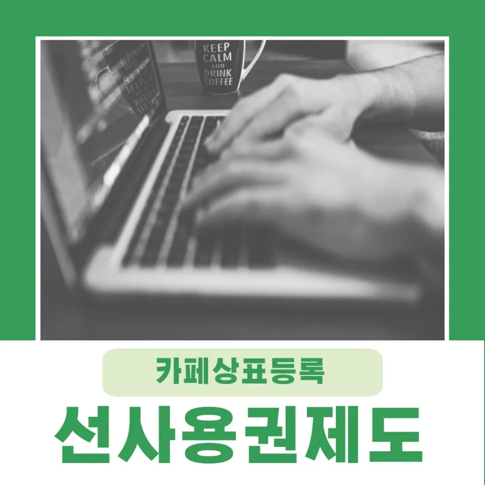 선사용권제도