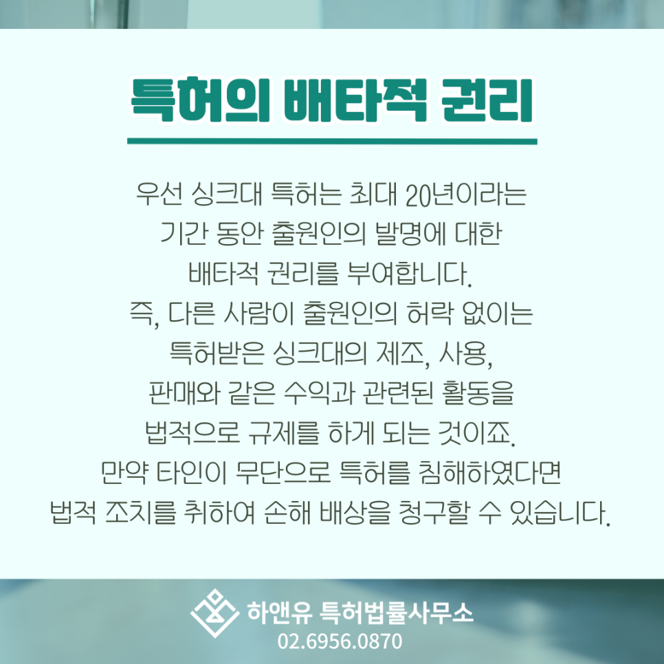 특허의 배타적 권리