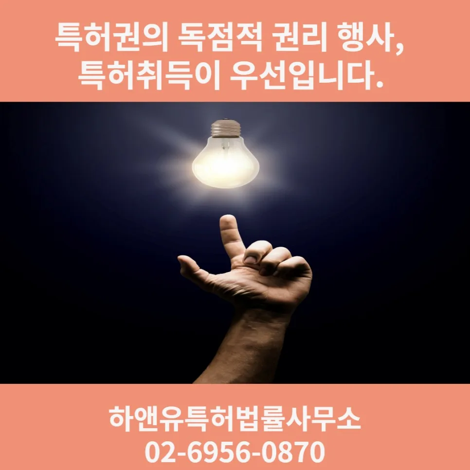 특허권 독점적 권리 행사