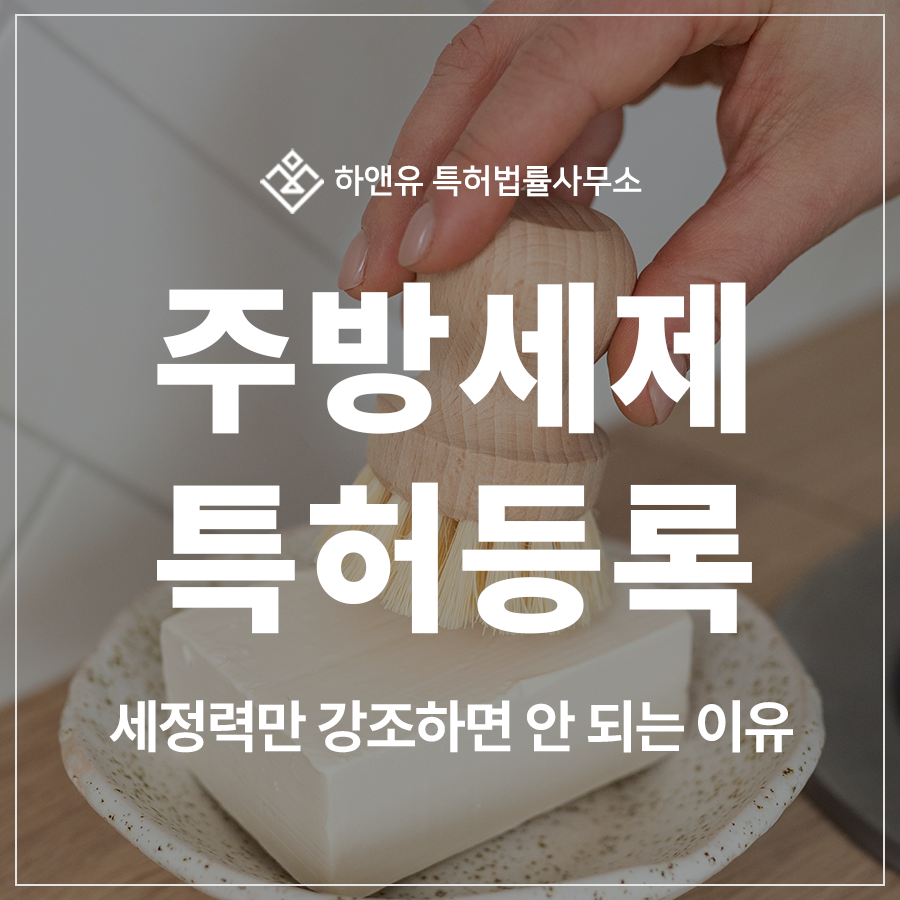 주방세제, 친환경 추출물, 세정제, 항균제 특허 출원 및 등록, 심사 기준이 까다로운 이유